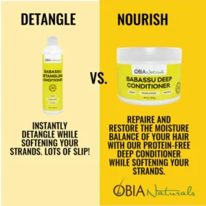 OBIA Naturals Babassu Detangling Conditioner