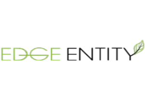 Edge Entity Logo
