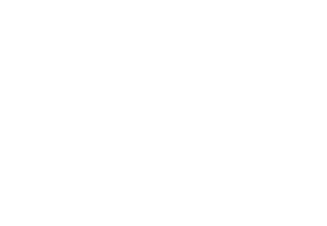 The Mane Choice Logo